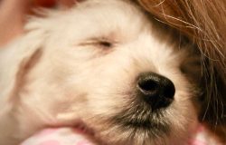 Layout 19 (5) Layout 19 (5)