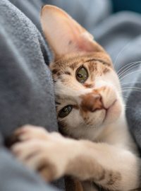 Layout 19 (6) Layout 19 (6)